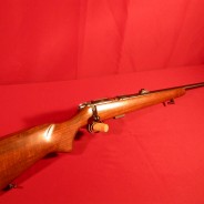 Cz 453 22LR