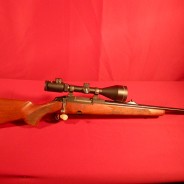Carabine Tikka 222