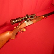 Express Zoli